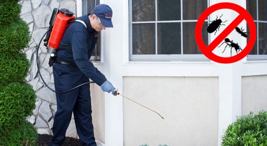 Sincik Dezenfeksiyon böcek ilaçlama ve haşere kontrolü — ilaclama-tr.com